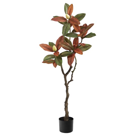4ft. Potted Fall Magnolia Tree